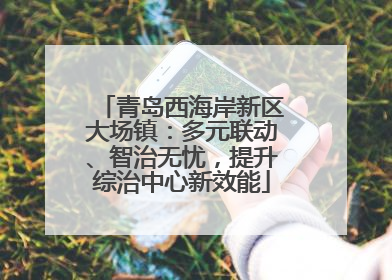 青岛西海岸新区大场镇：多元联动、智治无忧，提升综治中心新效能