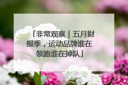 非常观察｜五月财报季，运动品牌谁在领跑谁在掉队