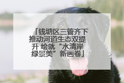 钱塘区三管齐下推动河道生态双提升 绘就“水清岸绿景美”新画卷