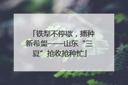 铁犁不停歇，播种新希望——山东“三夏”抢收抢种忙