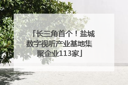 长三角首个！盐城数字视听产业基地集聚企业113家