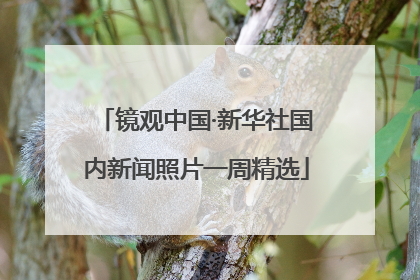 镜观中国·新华社国内新闻照片一周精选