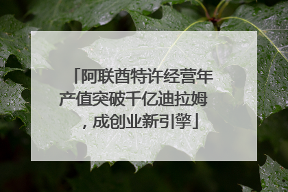 阿联酋特许经营年产值突破千亿迪拉姆，成创业新引擎