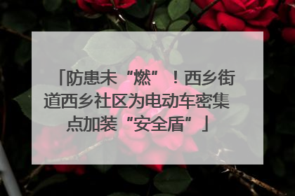 防患未“燃”！西乡街道西乡社区为电动车密集点加装“安全盾”