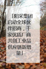 阳采集团启动全球伙伴招商，千家优质厂商共创工业品供应链新增量
