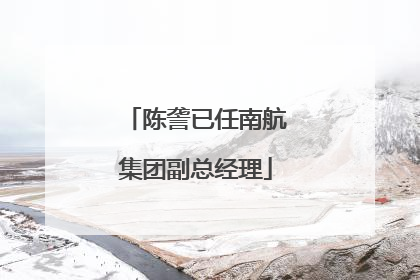 陈詟已任南航集团副总经理