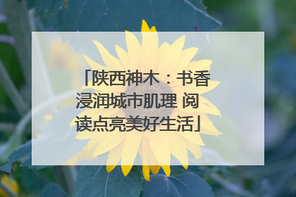 陕西神木：书香浸润城市肌理 阅读点亮美好生活