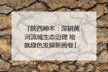 陕西神木：深耕黄河流域生态治理 绘就绿色发展新画卷