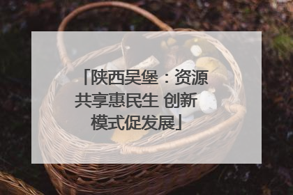 陕西吴堡：资源共享惠民生 创新模式促发展