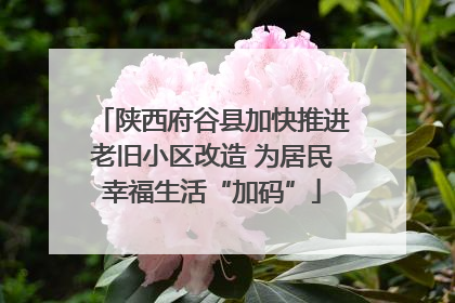 陕西府谷县加快推进老旧小区改造 为居民幸福生活“加码”