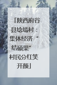 陕西府谷县埝墕村：集体经济“结硕果” 村民分红笑开颜