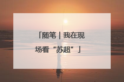 随笔｜我在现场看“苏超”