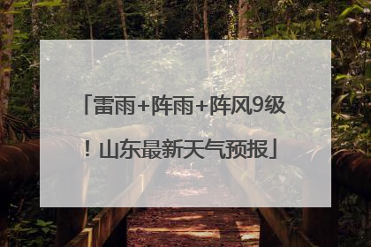 雷雨+阵雨+阵风9级！山东最新天气预报