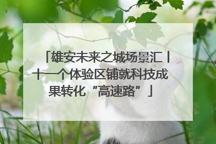 雄安未来之城场景汇丨十一个体验区铺就科技成果转化“高速路”