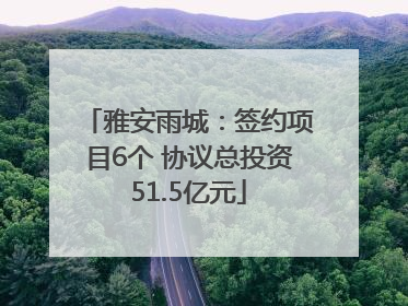 雅安雨城：签约项目6个 协议总投资51.5亿元