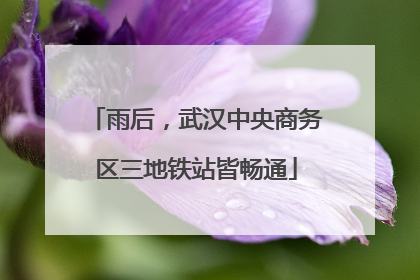 雨后，武汉中央商务区三地铁站皆畅通