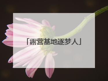 露营基地逐梦人