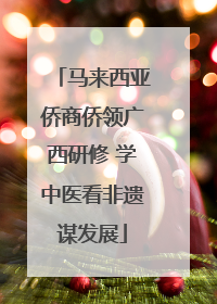 马来西亚侨商侨领广西研修 学中医看非遗谋发展