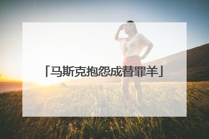 马斯克抱怨成替罪羊