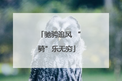 驰骋追风 “骑”乐无穷