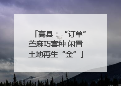 高县：“订单”苎麻巧套种 闲置土地再生“金”