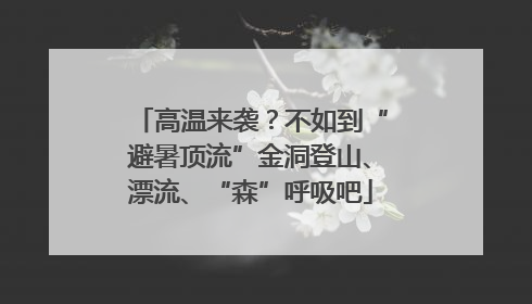 高温来袭？不如到“避暑顶流”金洞登山、漂流、“森”呼吸吧