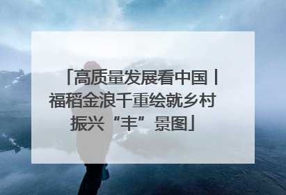 高质量发展看中国丨福稻金浪千重绘就乡村振兴“丰”景图