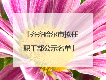 齐齐哈尔市拟任职干部公示名单