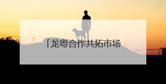 龙粤合作共拓市场，白桦树汁获黑龙江首张“湾区认证”