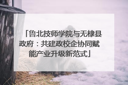 鲁北技师学院与无棣县政府：共建政校企协同赋能产业升级新范式