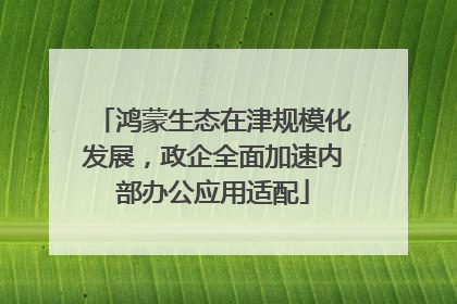 鸿蒙生态在津规模化发展，政企全面加速内部办公应用适配