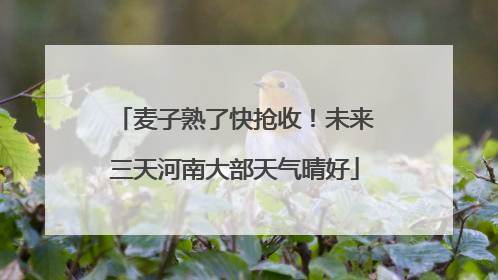 麦子熟了快抢收！未来三天河南大部天气晴好
