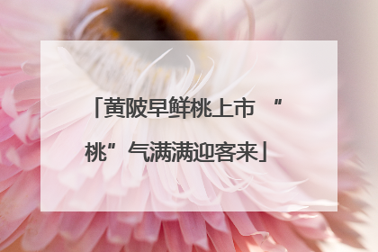黄陂早鲜桃上市 “桃”气满满迎客来
