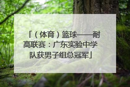 （体育）篮球——耐高联赛：广东实验中学队获男子组总冠军
