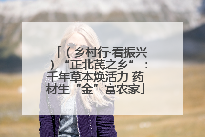 （乡村行·看振兴）“正北芪之乡”：千年草本焕活力 药材生“金”富农家