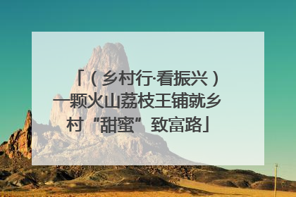 （乡村行·看振兴）一颗火山荔枝王铺就乡村“甜蜜”致富路