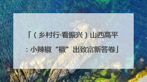 （乡村行·看振兴）山西高平：小辣椒“椒”出致富新答卷