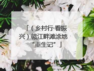 （乡村行·看振兴）赣江畔滩涂地“重生记”