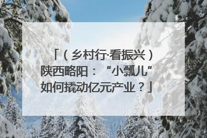 （乡村行·看振兴）陕西略阳：“小瓢儿”如何撬动亿元产业？