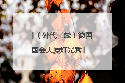 （外代一线）德国国会大厦灯光秀