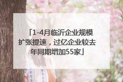 1-4月临沂企业规模扩张提速，过亿企业较去年同期增加55家