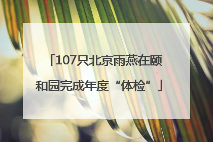 107只北京雨燕在颐和园完成年度“体检”
