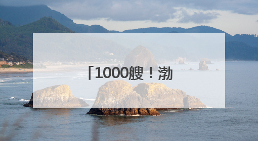 1000艘！渤海湾崛起世界级船舶租赁中心 促进全球贸易流动