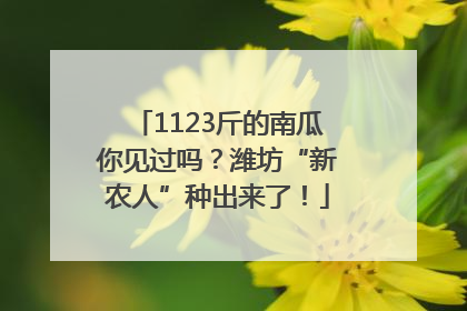 1123斤的南瓜你见过吗？潍坊“新农人”种出来了！