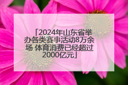 2024年山东省举办各类赛事活动8万余场 体育消费已经超过2000亿元
