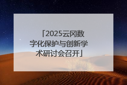 2025云冈数字化保护与创新学术研讨会召开