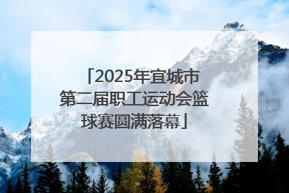 2025年宜城市第二届职工运动会篮球赛圆满落幕