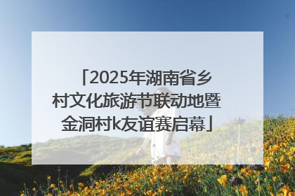 2025年湖南省乡村文化旅游节联动地暨金洞村k友谊赛启幕
