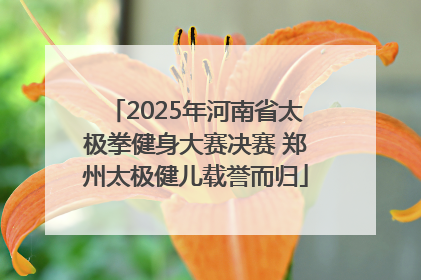 2025年河南省太极拳健身大赛决赛 郑州太极健儿载誉而归