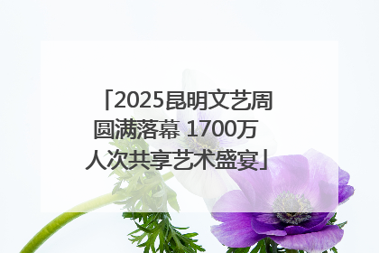 2025昆明文艺周圆满落幕 1700万人次共享艺术盛宴